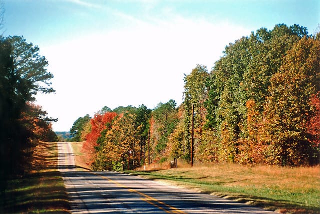 East Texas Fall