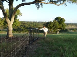 Best Horse Fence Gate