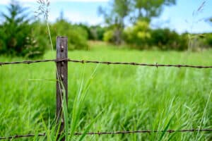 Barbed Wire Fence