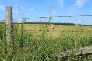 barbed wire ranch fence prices