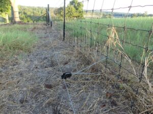Best Wild Hog Fence Electric