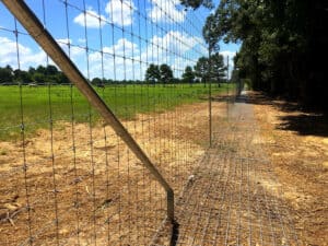 Best Wild Hog Fence Apron