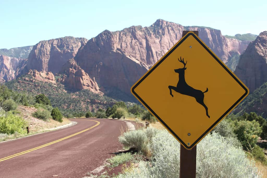 deer sign