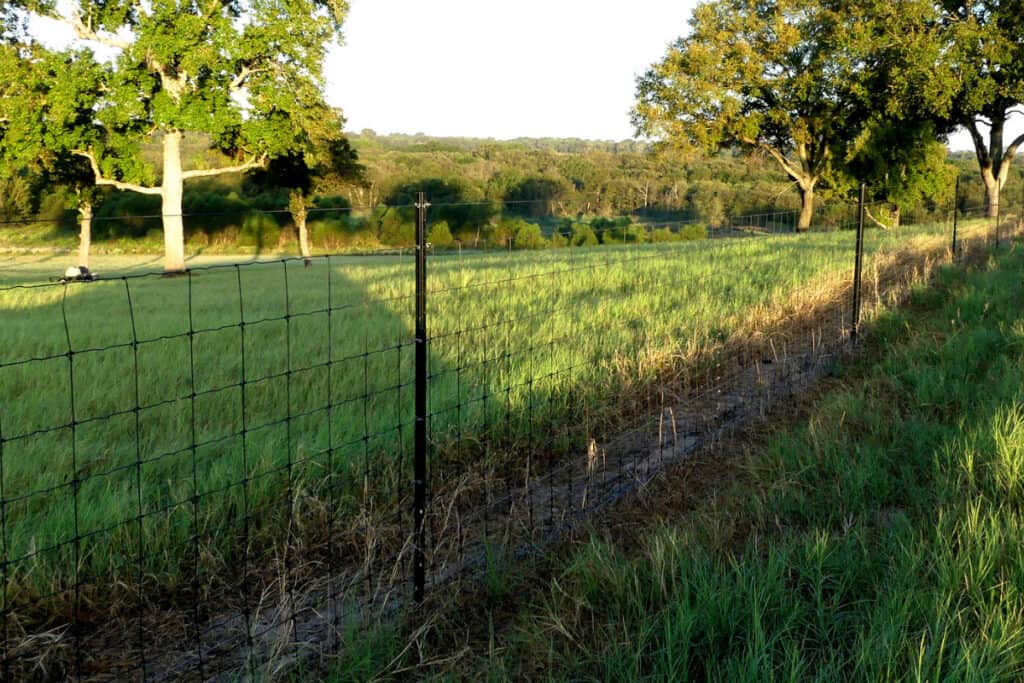Fixed-Knot-Fence-Pattern