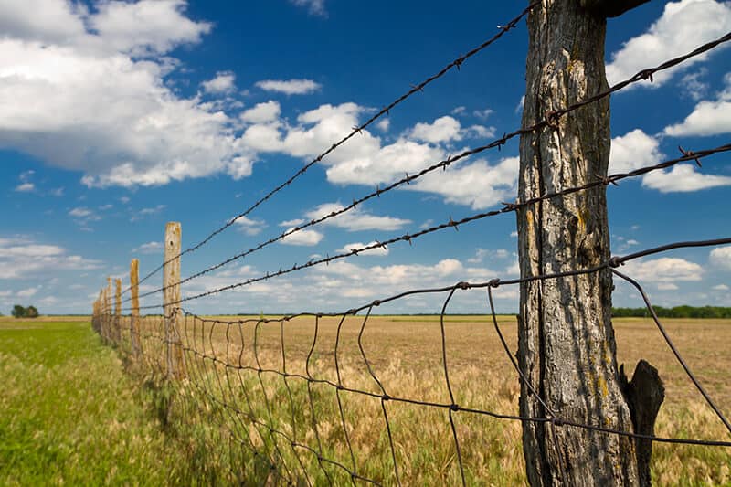 Hinge joint Field Fence