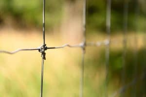 Fixed Knot