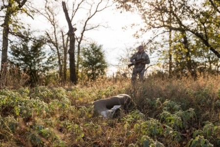 Managing Deer Herd