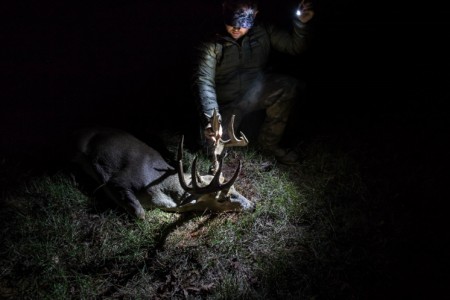 Managing Deer Herd