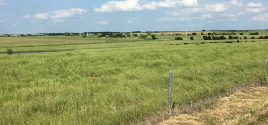 Matocha Ranch