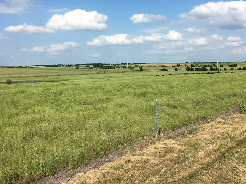 Matocha Ranch