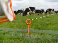 Portable Electric Fences