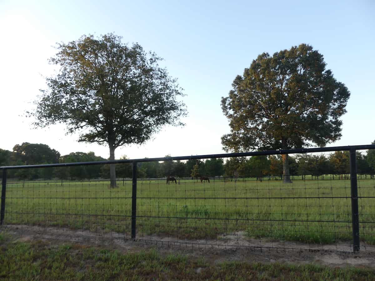 Best fence for horses