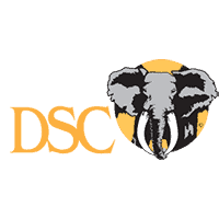 DSC