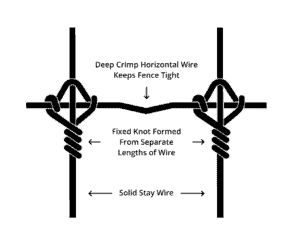 Fixed Knot for High Fence Exotics