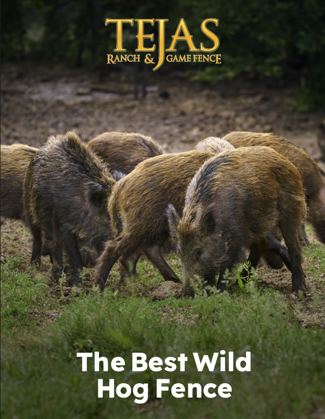 Wild Hog Fence PDF
